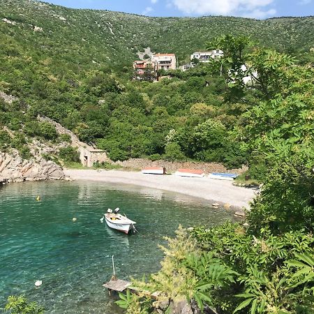 Apartments Mediterano Senj  Zewnętrze zdjęcie