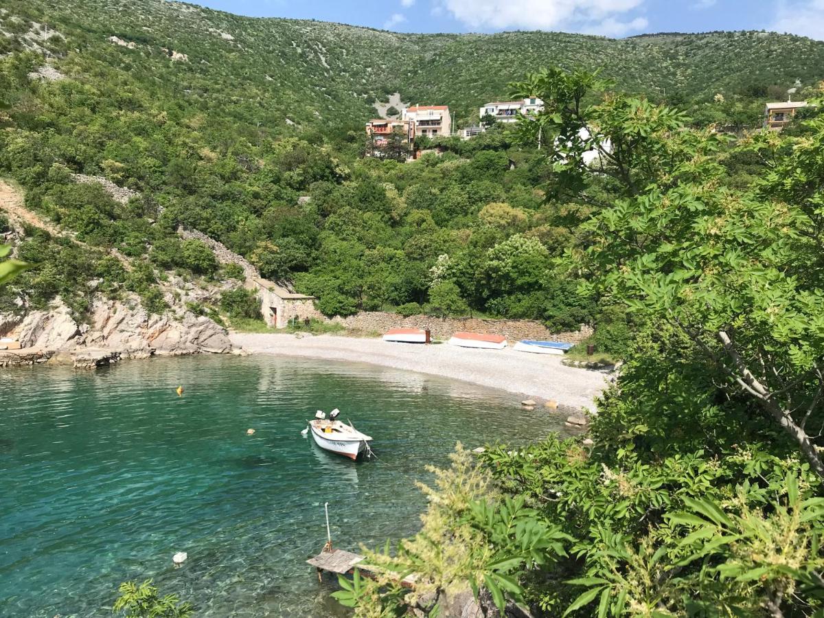 Apartments Mediterano Senj  Zewnętrze zdjęcie